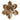 Clip on Gold Magnolia