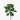 Green Leaf Stem