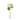 Hydrangea Stem Green