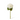 Hydrangea Stem White