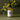 Natural Dish Soap 500ml